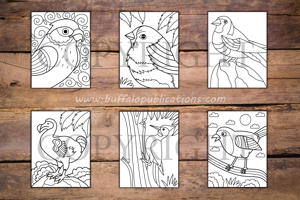 Birds Big and Bold Coloring Book