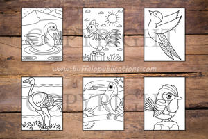 Birds Big and Bold Coloring Book