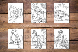 Birds Big and Bold Coloring Book