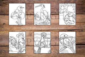 Birds Big and Bold Coloring Book