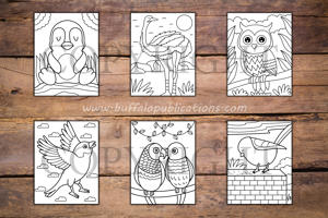 Birds Big and Bold Coloring Book