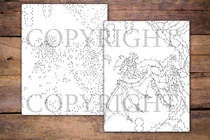Dot to Dot Dragons for Adults