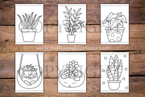 Plants in Pots Big and Bold Coloring Book