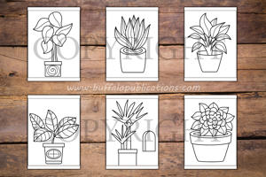 Plants in Pots Big and Bold Coloring Book
