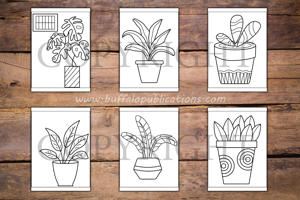 Plants in Pots Big and Bold Coloring Book