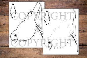 Birds Dot to Dot Book for Kids