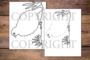 Birds Dot to Dot Book for Kids