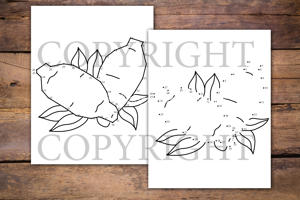 Vegetables Dot to Dot Book for Kids
