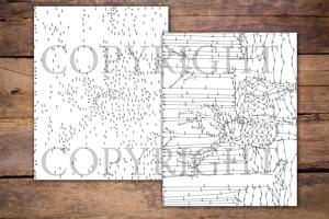 Dot to Dot Mystery Animals for Adults