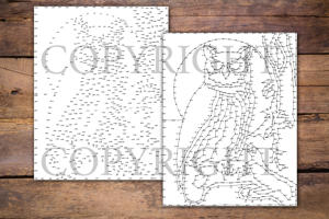 Dot to Dot Owls for Adults