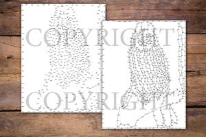 Dot to Dot Owls for Adults
