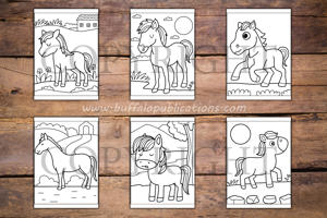 Horses and Ponies Big and Bold Coloring Book