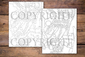 Dot to Dot Snowboarding for Adults