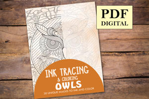 Owls Ink Tracing Coloring Book for Adults