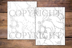 Dot to Dot Animals with Sunglasses for Adults