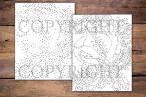 Dot to Dot Peacocks for Adults