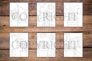 Minimalist Succulents Coloring Book