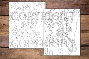 Dot to Dot Summer Season for Adults