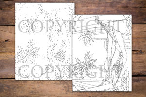 Dot to Dot Summer Season for Adults