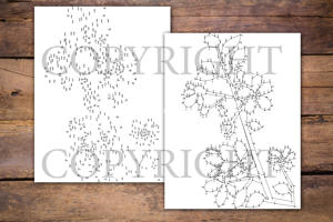 Dot to Dot Flowers for Adults