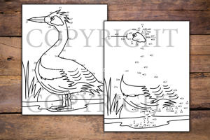 Birds Dot to Dot for Kids