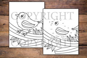 Birds Dot to Dot for Kids