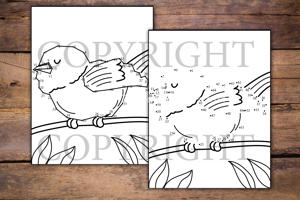 Birds Dot to Dot for Kids