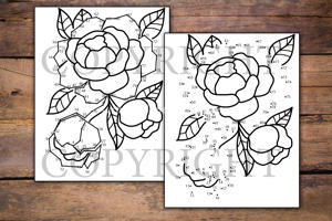Flowers Dot to Dot for Kids